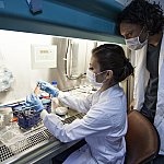 Image of researchers.
