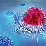 3d illustration of a cancer cell and lymphocytes