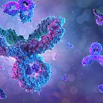 Antibodies, immunoglobulin Ig proteins 3D medical background. Immune system, IgM, IgG, IgE, IgD, IgA antibodies glycoproteins, specific antigens against coronavirus sars-cov-2 covid-19 influenza virus
