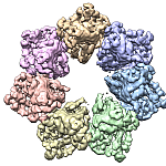 3D twinkle protein structure