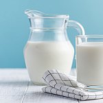 Banner of a glass of milk, a jug of milk on blue background. The concept of farm dairy products, milk day.