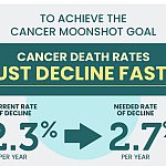 Graphic showing cancer death rates must decline faster
