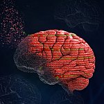 Illustration of a brain with genetic letters