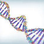 Illustration of DNA double helix