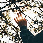 Image of a woman holding her hand toward the sun