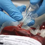 Image of a pint of blood for a transfusion