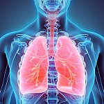 NIH and FDA leaders call for innovation in development of smoking cessation treatments