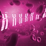 NIH clinical trial will test precision medicine treatments for myeloid cancers