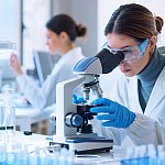 Researchers working in the clinical laboratory