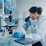 Image of a researcher looking into a microscope in a scientific lab