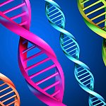 Illustration of 4 strands of DNA in different colors