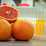 Grapefruit in a lab.