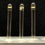Enlarged photo of elongated capsules 