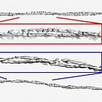 Alpha-synuclein fibrils from people with PD and MSA show different levels of twisting.