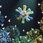Mosaic nanoparticle vaccine Nanoparticle with different colored proteins on surface