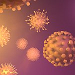 3D rendering of different types of viruses