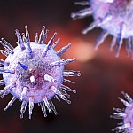 Illustration of Epstein-Barr virus