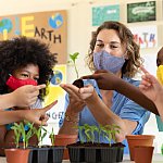 Teacher and students in a classroom wearing masks and looking at seedlings