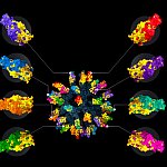 Illustration of nanoparticle vaccine with numerous different colored regions