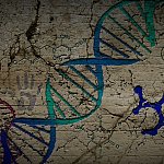 DNA and other molecules painted on an ancient wall
