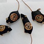 Four mice with flexible, circuit-covered bandages on their backs.