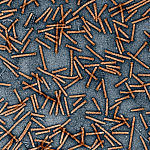 Transmission electron micrograph of numerous thin, rod-like Photorhabdus virulence cassettes