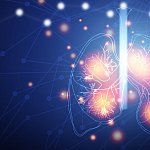 3D illustration of lungs.