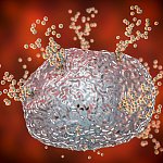 Illustration of a mast cell releasing histamine 