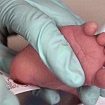 Health care worker collecting a blood sample from a newborn’s heel.