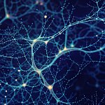Illustration of abstract neuron on a blue background.