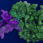 Illustration of small compound bound within cannabinoid receptor type 1.