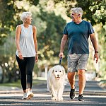 Image of an older woman and man walking a dog