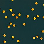 Microscopic image of gold-colored nanoparticles.