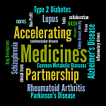 Accelerating Medicines Partnership Word Cloud