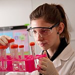 An NIH laboratory scientist examines a specimen.