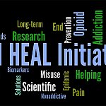 HEAL Initiative wordcloud