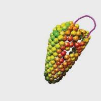 Electron micrographs and illustration showing reverse transcription by the HIV capsid