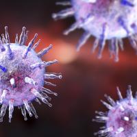 Illustration of Epstein-Barr virus