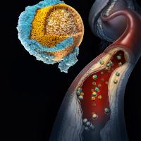 3D illustration of the makeup of LDL cholesterol in the bloodstream 