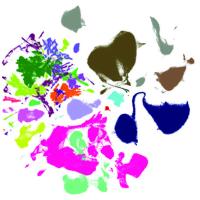  Picture of multi-colored, “splotchy” graph used to visualize the different cell types which analyzed in a study of aging on the mouse brain.