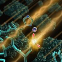 Beta-galactosidase