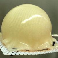Stem cells engineered to grow cartilage