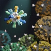 Mosaic nanoparticle vaccine