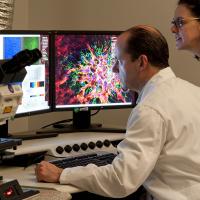 Two scientists observe ocular tissue samples under a laser scanning microscope. 