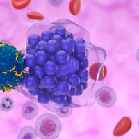Illustration of a CAR T cell attacking a B cell.