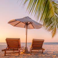 Two wooden chairs and an umbrella on the beach with palm trees hanging above.