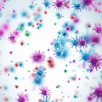 Illustration of colorful viruses.