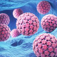 3D illustration of human papillomavirus. 