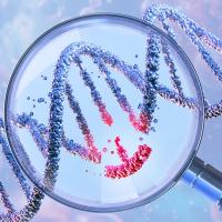 DNA double helix under a magnifying glass, symbolizing genetic engineering and gene manipulation. CRISPR technology, genome editing, molecular biotechnology, genetic science research, gene therapy. 