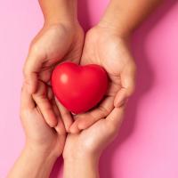 Four hands gently holding a red heart against a pink background.